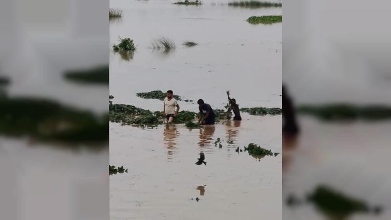 কুমিল্লা গোমতীর পানি বৃদ্ধি, চরাঞ্চলে ফসলের ক্ষতি