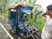 নাটোরে ট্রাকের ধাক্কায় ইজিবাইকের চালকসহ নিহত ৩
