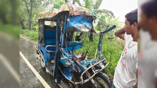 নাটোরে ট্রাকের ধাক্কায় ইজিবাইকের চালকসহ নিহত ৩