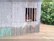ভোলার মনপুরায় পানিবন্দী ২০ হাজার মানুষ