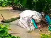 চট্টগ্রামে বন্যার পানির স্রোতে ভেসে উঠেছে কবরের তিনটি মরদেহ
