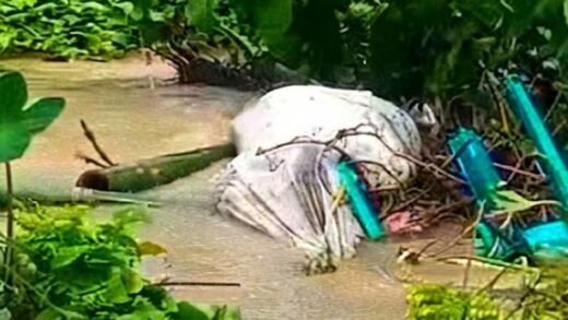 চট্টগ্রামে বন্যার পানির স্রোতে ভেসে উঠেছে কবরের তিনটি মরদেহ