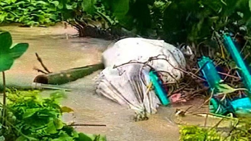 চট্টগ্রামে বন্যার পানির স্রোতে ভেসে উঠেছে কবরের তিনটি মরদেহ