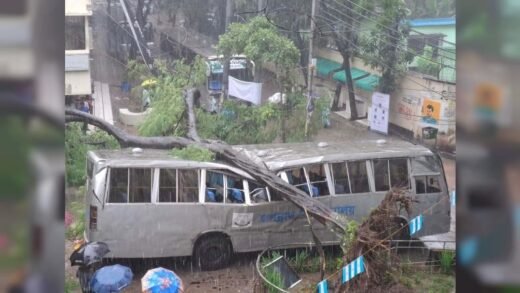 জবিতে বাসের ওপর ভেঙে পড়ল গাছ, অল্পের জন্য রক্ষা পেলেন শিক্ষার্থীরা