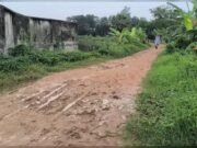 স্বাধীনতার ৫৫ বছরেও হয়নি আশুলিয়ার গোহাইলবাড়ী-গাজীবাড়ী সড়ক ও সেতু