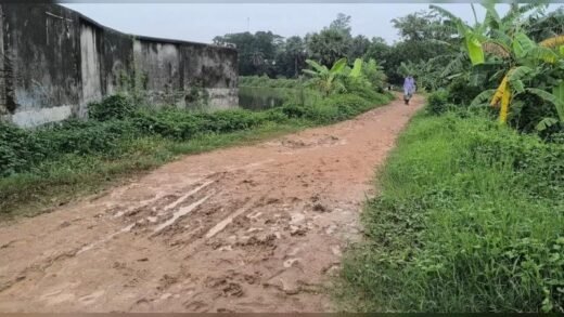 স্বাধীনতার ৫৫ বছরেও হয়নি আশুলিয়ার গোহাইলবাড়ী-গাজীবাড়ী সড়ক ও সেতু