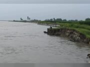 যমুনার ভাঙনে বিলীন বসতভিটা-আবাদি জমি, হুমকিতে বন্যা নিয়ন্ত্রণ বাঁধ