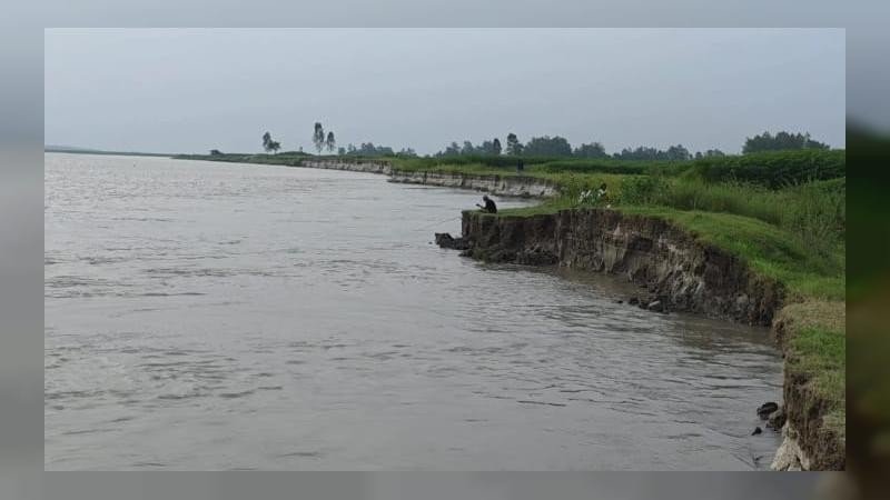 যমুনার ভাঙনে বিলীন বসতভিটা-আবাদি জমি, হুমকিতে বন্যা নিয়ন্ত্রণ বাঁধ