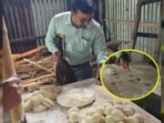 নোংরা পরিবেশে ফুচকা উৎপাদন ও নিষিদ্ধ রাসায়নিক ব্যবহারের দায়ে কারখানার মালিকের এক বছরের কারাদণ্ড
