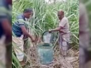 নাটোরে ৫২টি ড্রামে ছিল পাঁচ হাজার লিটার মদ, ধ্বংস করলো গ্রামবাসী