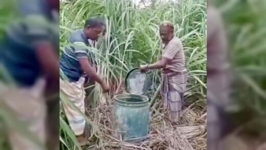 নাটোরে ৫২টি ড্রামে ছিল পাঁচ হাজার লিটার মদ, ধ্বংস করলো গ্রামবাসী