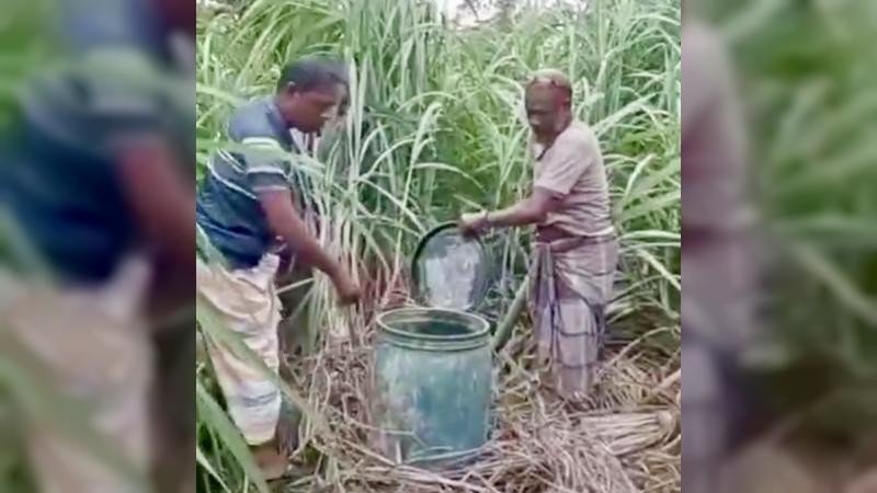 নাটোরে ৫২টি ড্রামে ছিল পাঁচ হাজার লিটার মদ, ধ্বংস করলো গ্রামবাসী