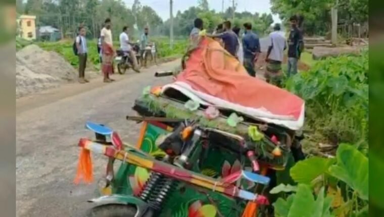 নালিতাবাড়ীতে সড়ক দুর্ঘটনায় অটোরিকশা চালকসহ দুইজন নিহত