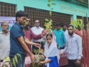 বুড়িচং-ব্রাহ্মণপাড়া বন্ধু সেবা'র উদ্যোগে শিক্ষার্থীদের মাঝে ৪০০ চারাগাছ বিতরণ