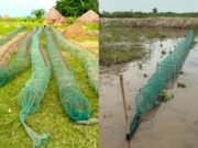 ফরিদপুরে বাড়ছে নিষিদ্ধ ‘চায়না দুয়ারি’র দৌরাত্ম্য, নিয়মিত অভিযানের অভাবে হুমকিতে দেশীয় মাছ