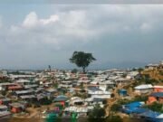ইয়াবার টাকায় শক্তিশালী হচ্ছে সশস্ত্র গোষ্ঠী