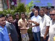 নাটোরে পথচারীদের মাঝে দুই হাজার গাছের চারা বিতরন