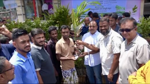 নাটোরে পথচারীদের মাঝে দুই হাজার গাছের চারা বিতরন