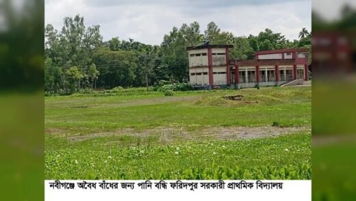 নবীগঞ্জে বাঁধ নির্মান করে ৫০ একর ফসলি জমি ও সরকারী প্রাথমিক স্কুল পানি বন্ধি