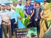 বরগুনায় পূবালী ব্যাংকের উদ্যোগে বৃক্ষরোপণ কর্মসূচির উদ্বোধন