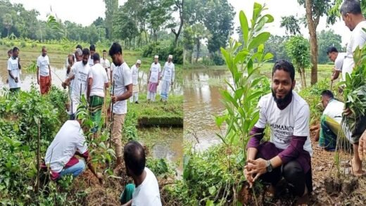 বুড়িচংয়ে ‘মানবতা’ সংগঠনের উদ্যোগে বৃক্ষরোপণ কর্মসূচিতে গাছের চারা রোপণ