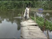 ৫৫ বছর ধরে বাঁশের সাঁকোয় জীবনবাজি রেখে পারাপার