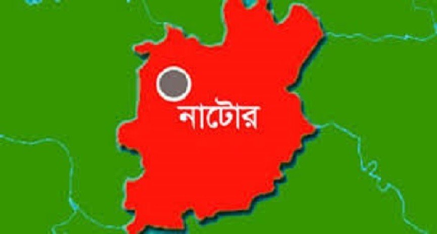নাটোরে মাছ ধরতে গিয়ে বজ্রপাতে যুবক নিহত