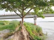 আড়িয়াল খাঁ’র পাড়ে ভাঙন, হুমকির মুখে সেতু