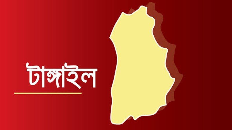 হাটুভাঙ্গা সেতুতে নতুন করে টোল আদায়ে সমালোচনার ঝড়