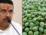 ভারতে উপহার হিসেবে ১১০০ কেজি আম পাঠাল বাংলাদেশ