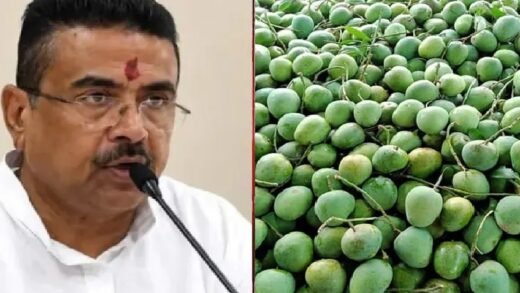 ভারতে উপহার হিসেবে ১১০০ কেজি আম পাঠাল বাংলাদেশ