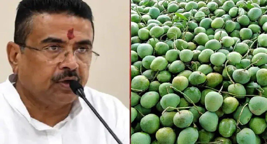 ভারতে উপহার হিসেবে ১১০০ কেজি আম পাঠাল বাংলাদেশ
