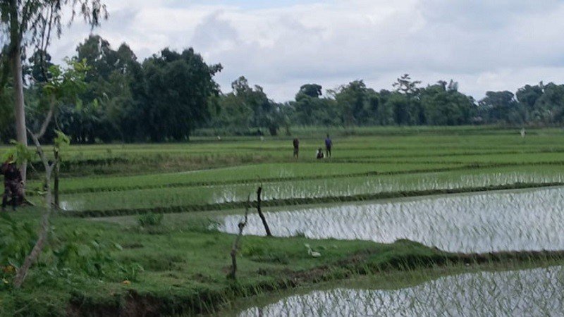 সীমান্তে বিএসএফের খুঁটি স্থাপনের চেষ্টা, অতঃপর...