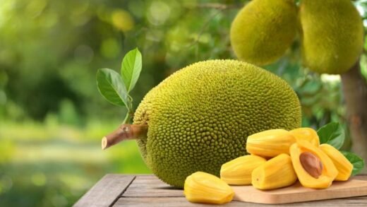 কাঁঠাল দিবস আজ
