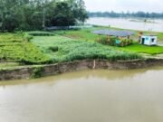 শেরপুরে দুই নদীর ভাঙনে বিলীন ঘরবাড়ি ও ফসলি জমি