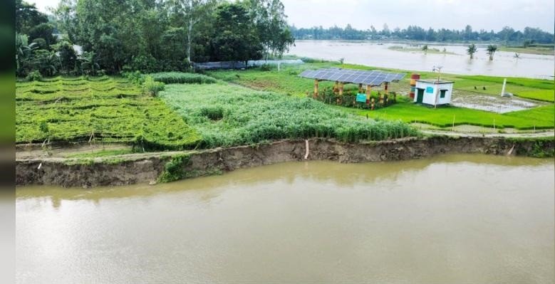 শেরপুরে দুই নদীর ভাঙনে বিলীন ঘরবাড়ি ও ফসলি জমি