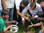 ঢাকা বিশ্ববিদ্যালয়ে ৫০০ গাছের চারা রোপণ করলো ডিএসসিসি