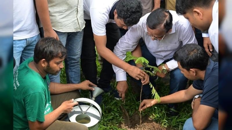 ঢাকা বিশ্ববিদ্যালয়ে ৫০০ গাছের চারা রোপণ করলো ডিএসসিসি