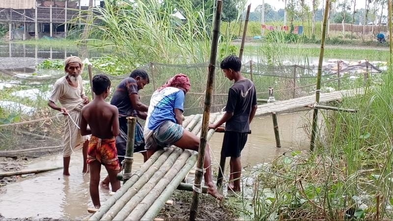গ্রামবাসীর দূর্ভোগ লাঘবে সাঁকো নির্মাণ করলেন বিএনপি নেতা