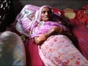 সরিষাবাড়ীতে বিড়াল, সাপ ও কুকুরের কামড়ে আহত শতাধিক