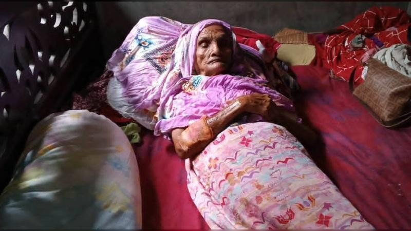 সরিষাবাড়ীতে বিড়াল, সাপ ও কুকুরের কামড়ে আহত শতাধিক