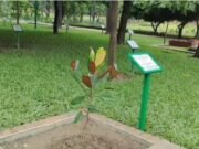 সাভারে জাতীয় স্মৃতিসৌধে ‘উদয়পদ্ম’ চারা রোপণ করলেন রাষ্ট্রপতি