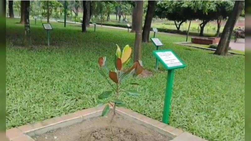 সাভারে জাতীয় স্মৃতিসৌধে ‘উদয়পদ্ম’ চারা রোপণ করলেন রাষ্ট্রপতি