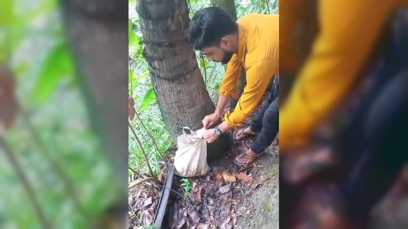 বরগুনায় ব্যাগের ভেতর নবজাতক উদ্ধার