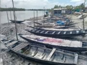 চোখেমুখে বনদস্যু আতঙ্ক আর ঋণের বোঝা মাথায় নিয়ে বনে যাচ্ছেন বনজীবীরা