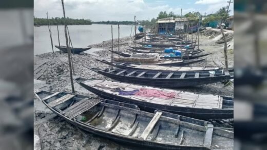 চোখেমুখে বনদস্যু আতঙ্ক আর ঋণের বোঝা মাথায় নিয়ে বনে যাচ্ছেন বনজীবীরা