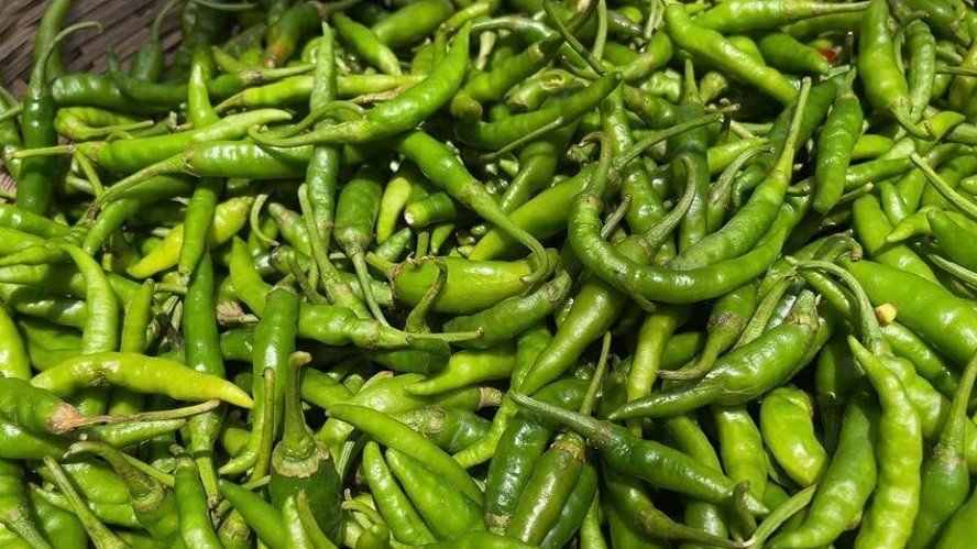 কাঁচা মরিচ আমদানির অনুমতি দিল সরকার, কাল থেকেই শুরু