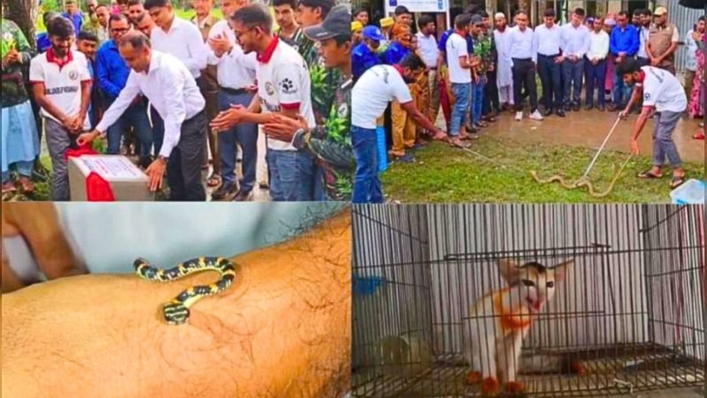 কলাপাড়ায় দেশের প্রথম বন্যপ্রাণী চিকিৎসাকেন্দ্র “এনিমেল শেড” উদ্বোধন