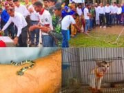 কলাপাড়ায় দেশের প্রথম বন্যপ্রাণী চিকিৎসাকেন্দ্র “এনিমেল শেড” উদ্বোধন