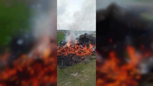 নেত্রকোণায় জনস্বার্থে মোবাইল কোর্ট, জরিমানা ও কারাদণ্ড